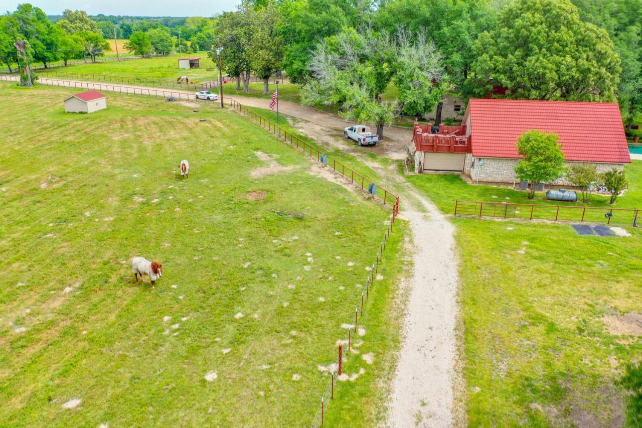 Dog-Friendly Wills Point Home With Grill On 10 Acres Canton Εξωτερικό φωτογραφία